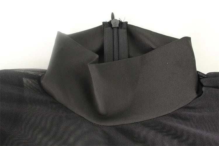 Mesh Solid Turtleneck Fitting Zipper Long Sleeves Dress.