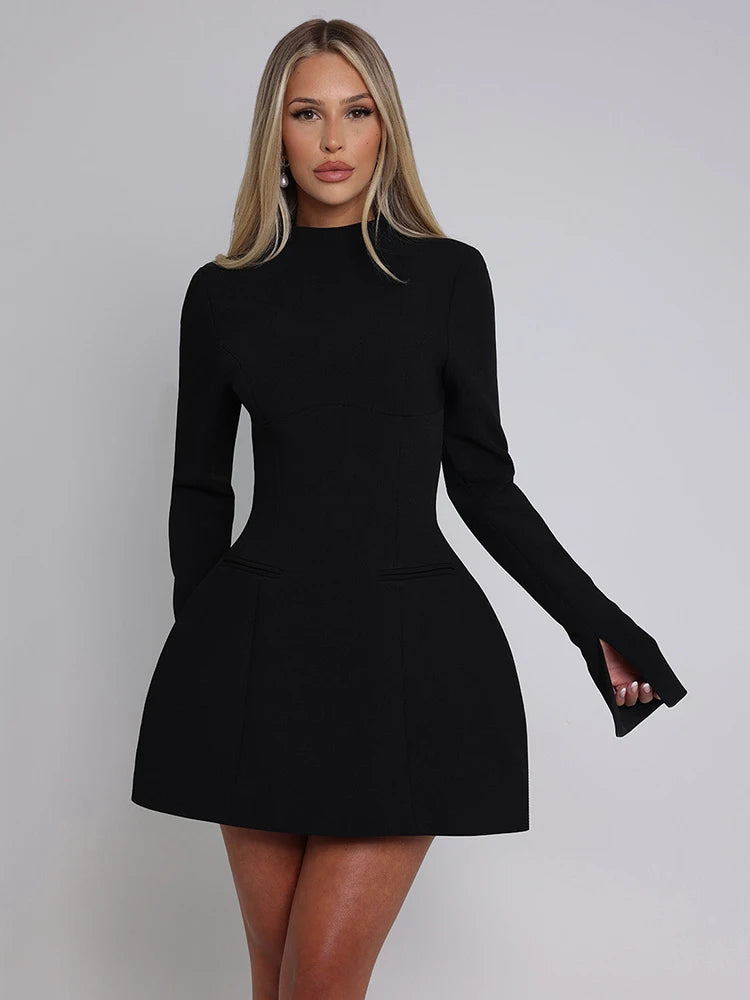 Long Sleeve Backless Mini Dress.