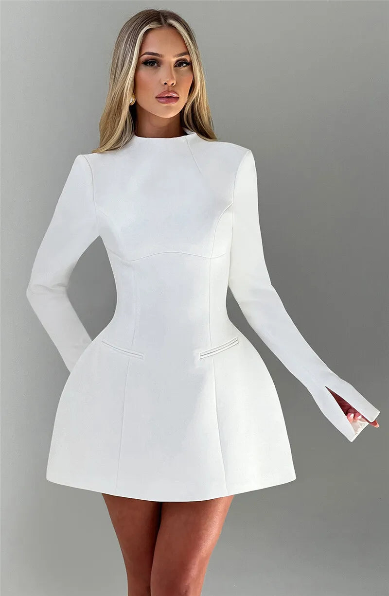 Long Sleeve Backless Mini Dress.