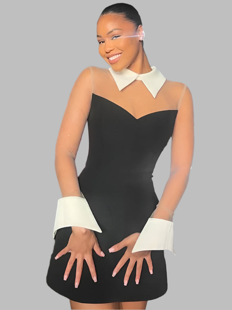 Mesh Patchwork A-line, Turn Down Neck Mini Dress.