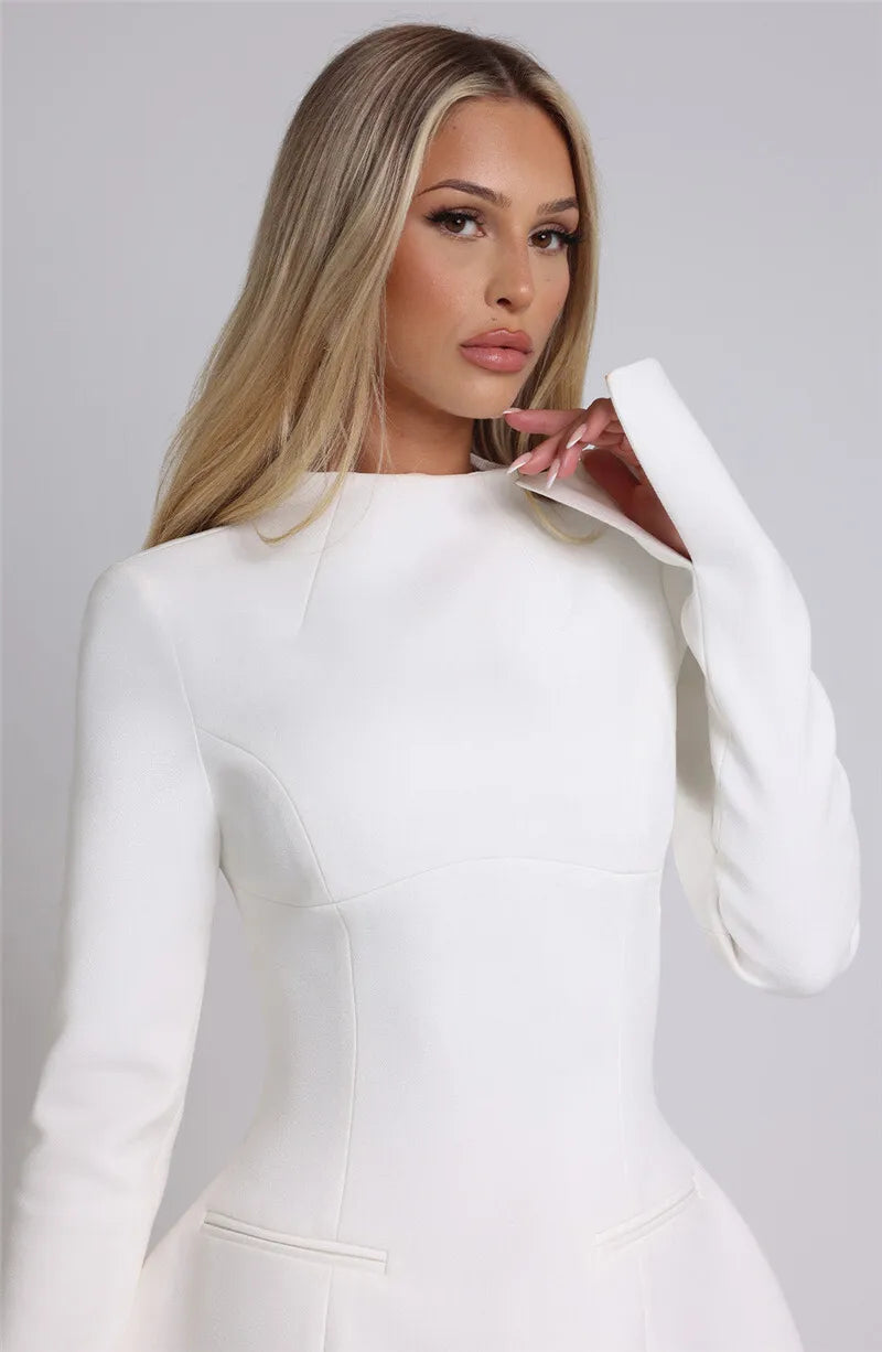 Long Sleeve Backless Mini Dress.