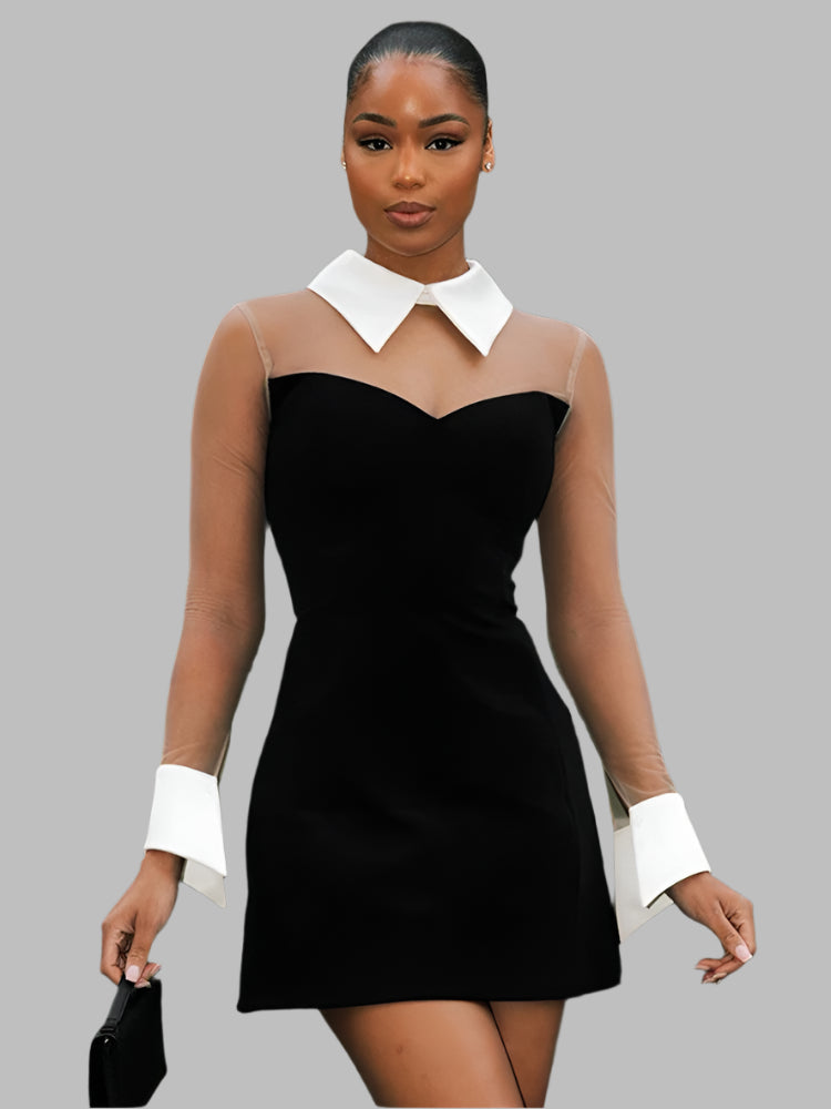 Mesh Patchwork A-line, Turn Down Neck Mini Dress.