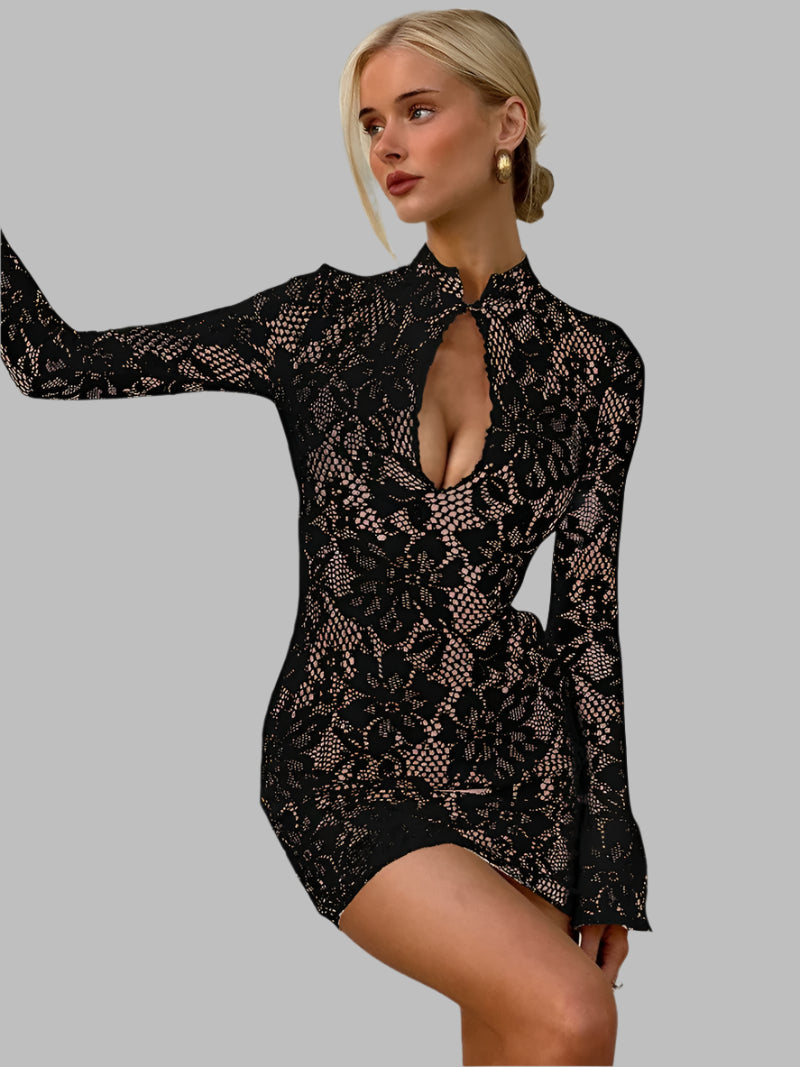 Vintage Long Sleeve Lace Mini Dress.