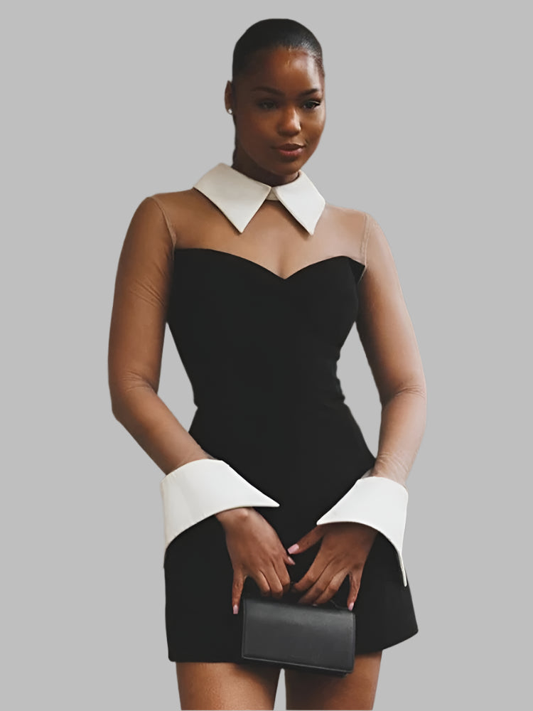 Mesh Patchwork A-line, Turn Down Neck Mini Dress.