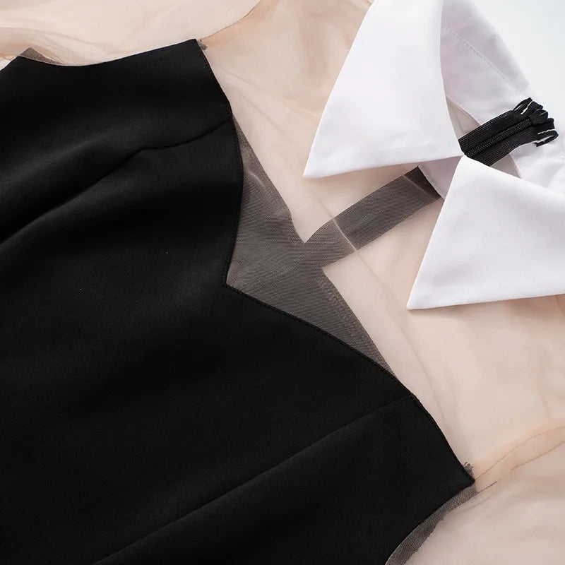 Mesh Patchwork A-line, Turn Down Neck Mini Dress.